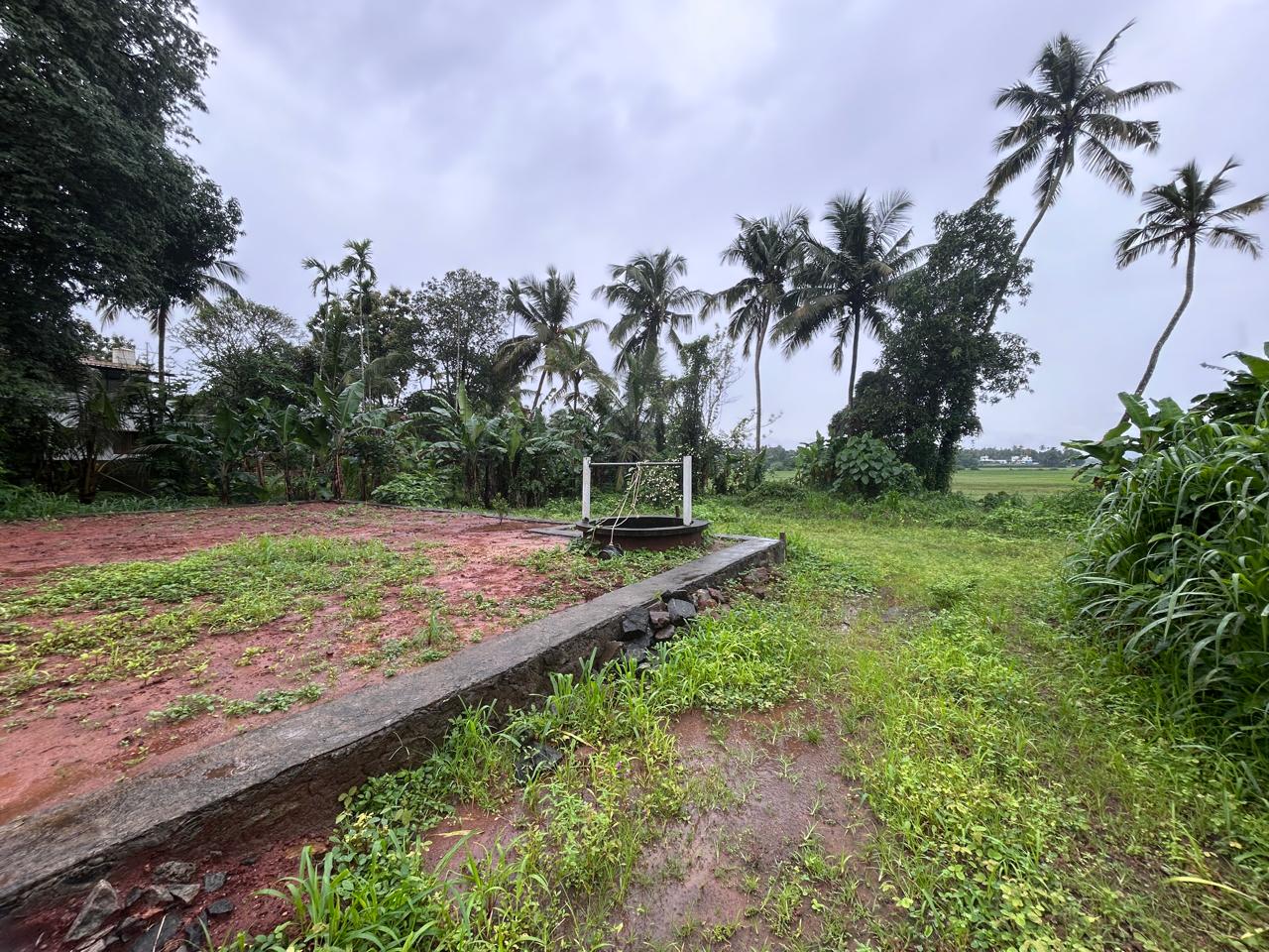 RWP304