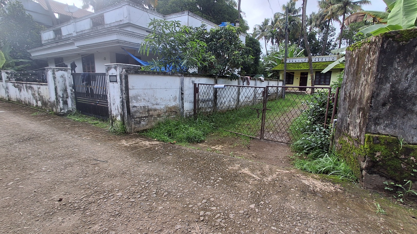 RWP384